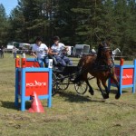 IV Mistrzostwa Kaszub w Powożeniu Zaprzęgami Konnymi