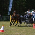 IV Mistrzostwa Kaszub w Powożeniu Zaprzęgami Konnymi