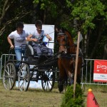 IV Mistrzostwa Kaszub w Powożeniu Zaprzęgami Konnymi