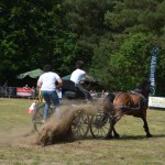 IV Mistrzostwa Kaszub w Powożeniu Zaprzęgami Konnymi