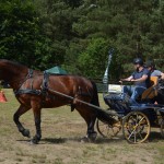 IV Mistrzostwa Kaszub w Powożeniu Zaprzęgami Konnymi