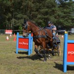 IV Mistrzostwa Kaszub w Powożeniu Zaprzęgami Konnymi