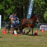 IV Mistrzostwa Kaszub w Powożeniu Zaprzęgami Konnymi