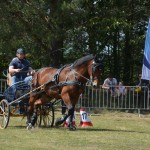 IV Mistrzostwa Kaszub w Powożeniu Zaprzęgami Konnymi