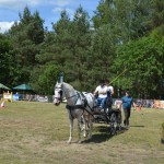 IV Mistrzostwa Kaszub w Powożeniu Zaprzęgami Konnymi