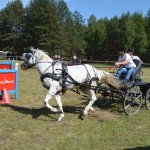IV Mistrzostwa Kaszub w Powożeniu Zaprzęgami Konnymi