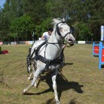 IV Mistrzostwa Kaszub w Powożeniu Zaprzęgami Konnymi
