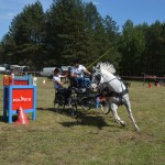 IV Mistrzostwa Kaszub w Powożeniu Zaprzęgami Konnymi