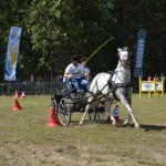 IV Mistrzostwa Kaszub w Powożeniu Zaprzęgami Konnymi