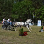 IV Mistrzostwa Kaszub w Powożeniu Zaprzęgami Konnymi