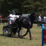IV Mistrzostwa Kaszub w Powożeniu Zaprzęgami Konnymi