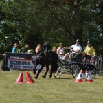 IV Mistrzostwa Kaszub w Powożeniu Zaprzęgami Konnymi