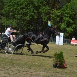 IV Mistrzostwa Kaszub w Powożeniu Zaprzęgami Konnymi