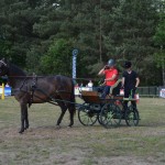 IV Mistrzostwa Kaszub w Powożeniu Zaprzęgami Konnymi