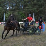IV Mistrzostwa Kaszub w Powożeniu Zaprzęgami Konnymi