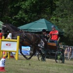 IV Mistrzostwa Kaszub w Powożeniu Zaprzęgami Konnymi
