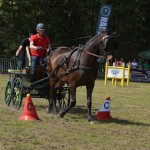 IV Mistrzostwa Kaszub w Powożeniu Zaprzęgami Konnymi