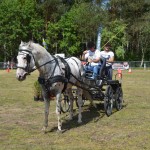 IV Mistrzostwa Kaszub w Powożeniu Zaprzęgami Konnymi