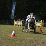 IV Mistrzostwa Kaszub w Powożeniu Zaprzęgami Konnymi