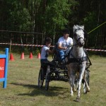 IV Mistrzostwa Kaszub w Powożeniu Zaprzęgami Konnymi
