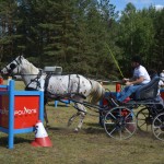 IV Mistrzostwa Kaszub w Powożeniu Zaprzęgami Konnymi