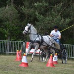 IV Mistrzostwa Kaszub w Powożeniu Zaprzęgami Konnymi