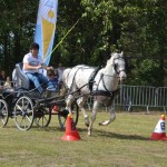 IV Mistrzostwa Kaszub w Powożeniu Zaprzęgami Konnymi
