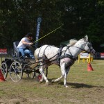 IV Mistrzostwa Kaszub w Powożeniu Zaprzęgami Konnymi