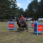 IV Mistrzostwa Kaszub w Powożeniu Zaprzęgami Konnymi