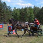 IV Mistrzostwa Kaszub w Powożeniu Zaprzęgami Konnymi