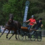 IV Mistrzostwa Kaszub w Powożeniu Zaprzęgami Konnymi