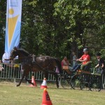 IV Mistrzostwa Kaszub w Powożeniu Zaprzęgami Konnymi