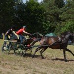 IV Mistrzostwa Kaszub w Powożeniu Zaprzęgami Konnymi