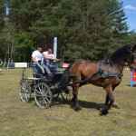 IV Mistrzostwa Kaszub w Powożeniu Zaprzęgami Konnymi