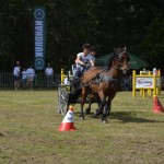 IV Mistrzostwa Kaszub w Powożeniu Zaprzęgami Konnymi