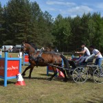 IV Mistrzostwa Kaszub w Powożeniu Zaprzęgami Konnymi