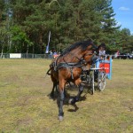 IV Mistrzostwa Kaszub w Powożeniu Zaprzęgami Konnymi