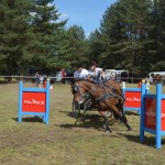 IV Mistrzostwa Kaszub w Powożeniu Zaprzęgami Konnymi