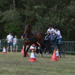 IV Mistrzostwa Kaszub w Powożeniu Zaprzęgami Konnymi