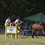 IV Mistrzostwa Kaszub w Powożeniu Zaprzęgami Konnymi