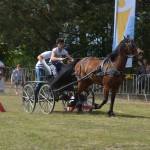 IV Mistrzostwa Kaszub w Powożeniu Zaprzęgami Konnymi
