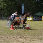 IV Mistrzostwa Kaszub w Powożeniu Zaprzęgami Konnymi