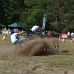 IV Mistrzostwa Kaszub w Powożeniu Zaprzęgami Konnymi
