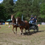 IV Mistrzostwa Kaszub w Powożeniu Zaprzęgami Konnymi