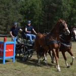 IV Mistrzostwa Kaszub w Powożeniu Zaprzęgami Konnymi