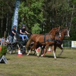 IV Mistrzostwa Kaszub w Powożeniu Zaprzęgami Konnymi