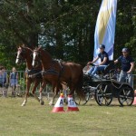 IV Mistrzostwa Kaszub w Powożeniu Zaprzęgami Konnymi
