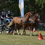 IV Mistrzostwa Kaszub w Powożeniu Zaprzęgami Konnymi