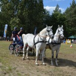 IV Mistrzostwa Kaszub w Powożeniu Zaprzęgami Konnymi