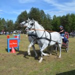 IV Mistrzostwa Kaszub w Powożeniu Zaprzęgami Konnymi
